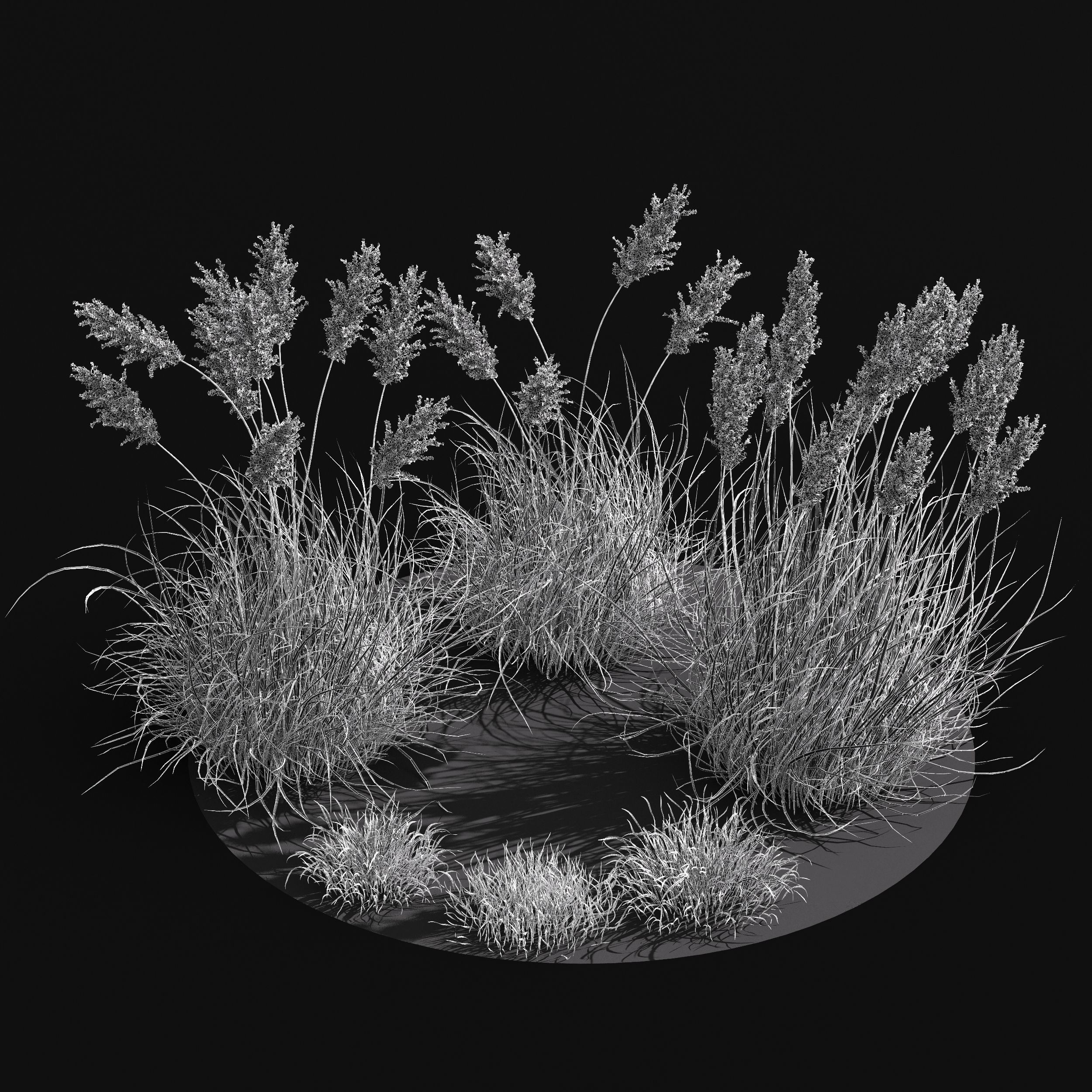 Meadow Lawn Grassland Set 018 3D model_3