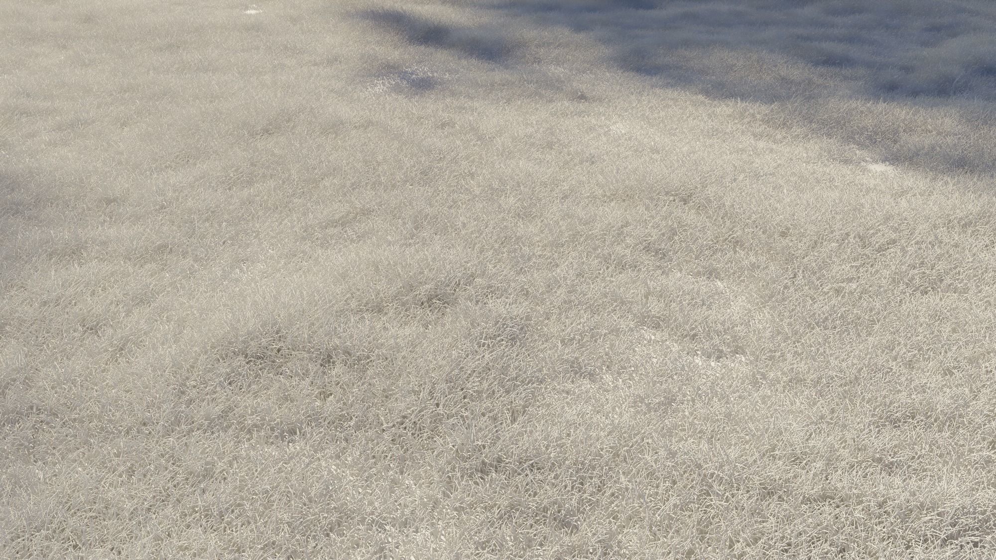 Grass texture Free 3D model_2