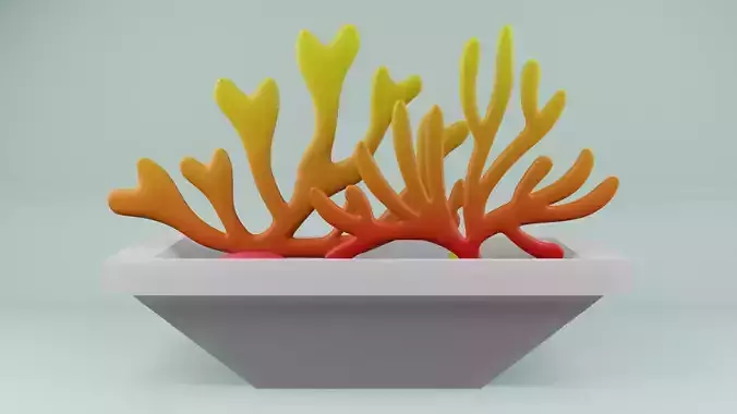 Coral show piece