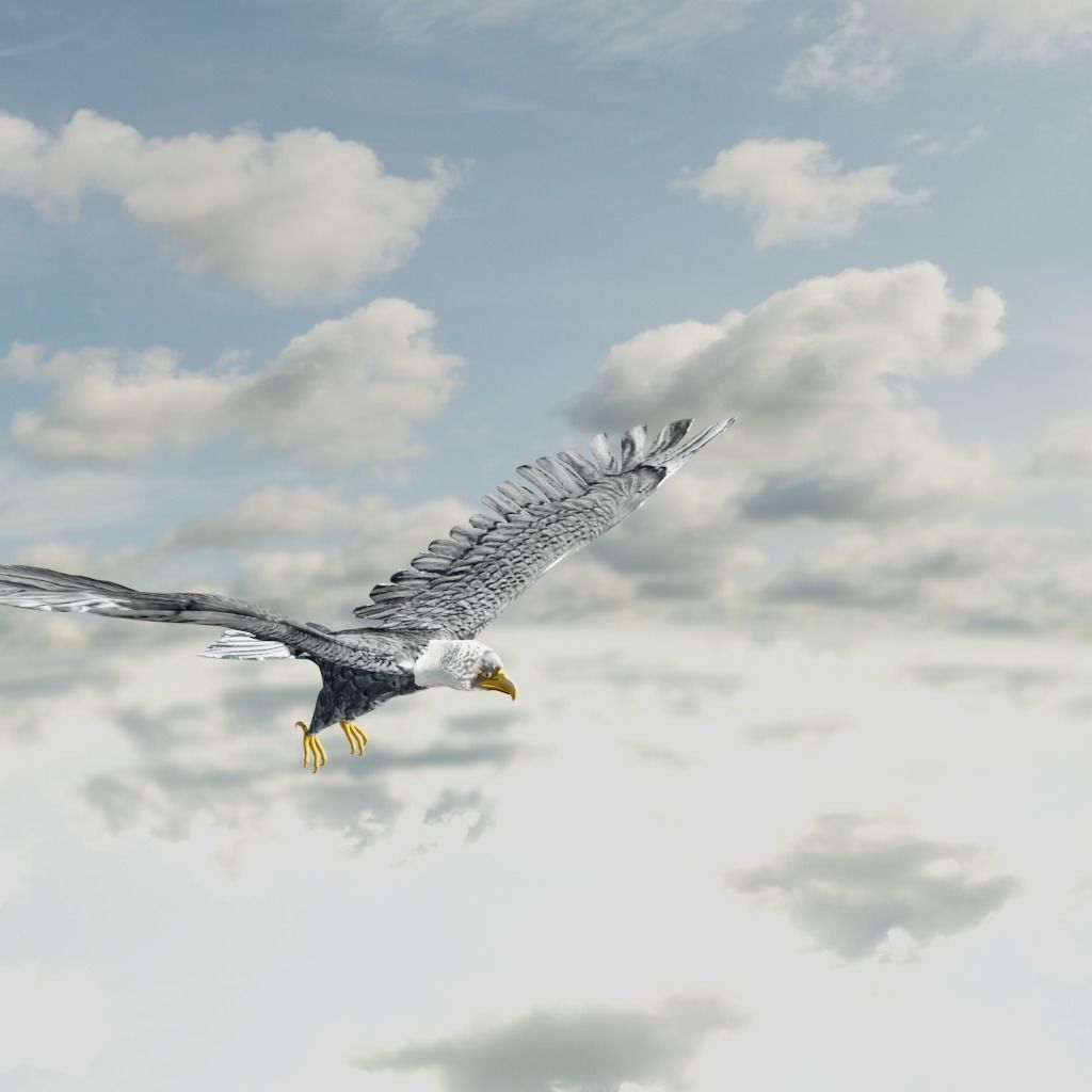 Eagle Model Game Ready flying in sky Low-poly 3D model_12