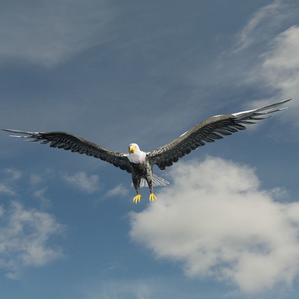 Eagle Model Game Ready flying in sky Low-poly 3D model_2
