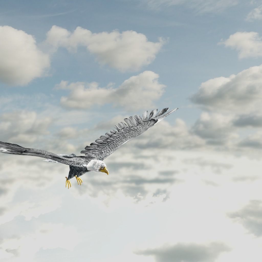 Eagle Model Game Ready flying in sky Low-poly 3D model_17