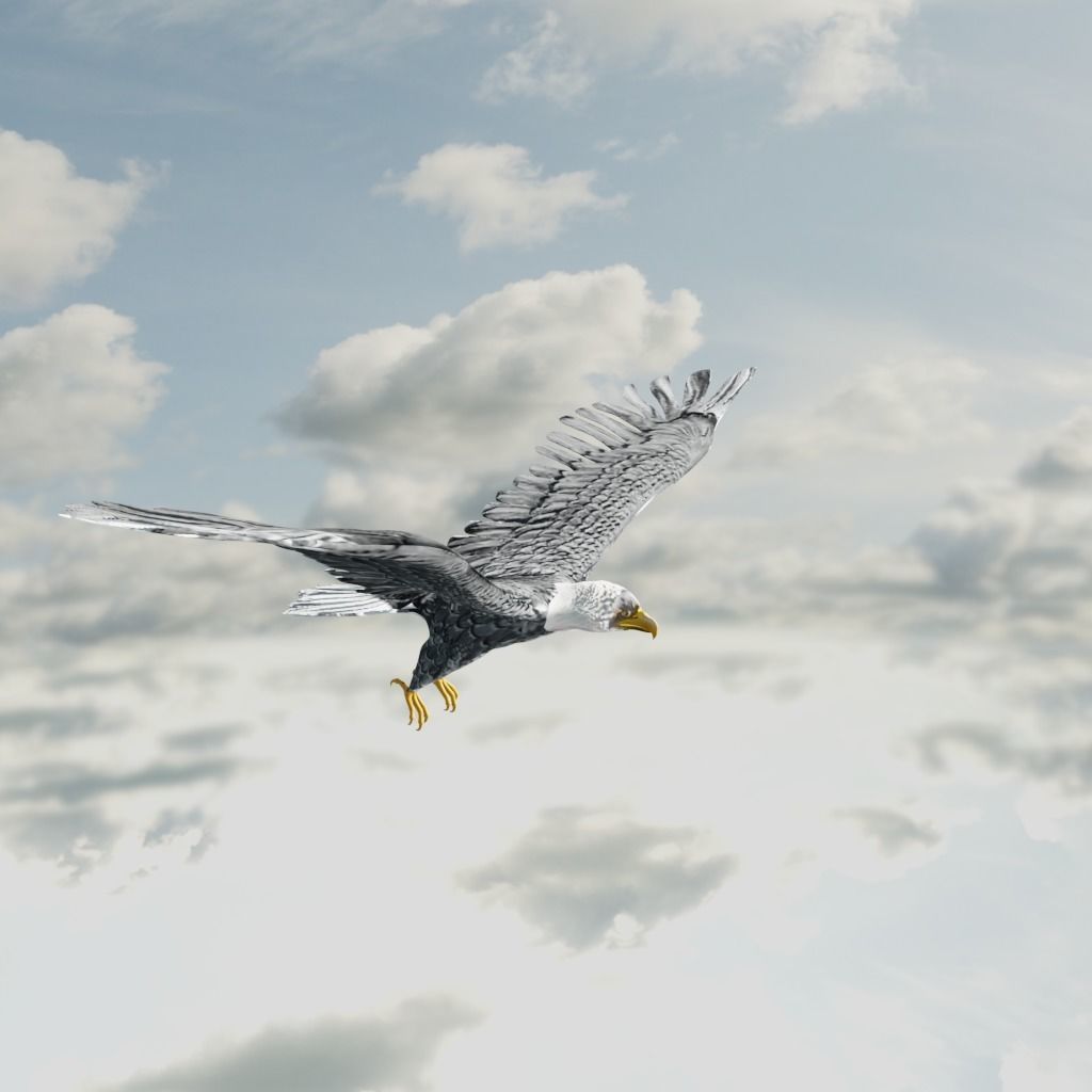 Eagle Model Game Ready flying in sky Low-poly 3D model_7