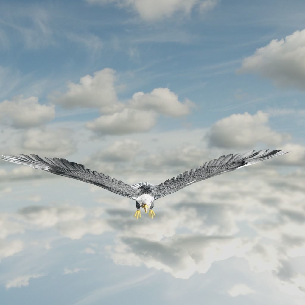 Eagle Model Game Ready flying in sky Low-poly 3D model_32