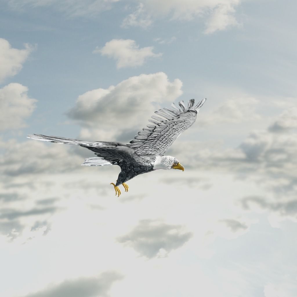 Eagle Model Game Ready flying in sky Low-poly 3D model_13