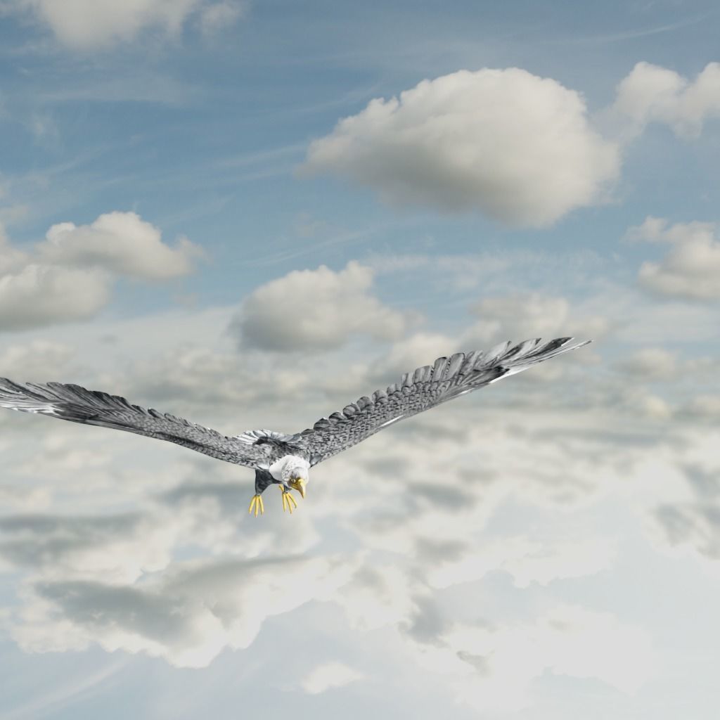 Eagle Model Game Ready flying in sky Low-poly 3D model_23
