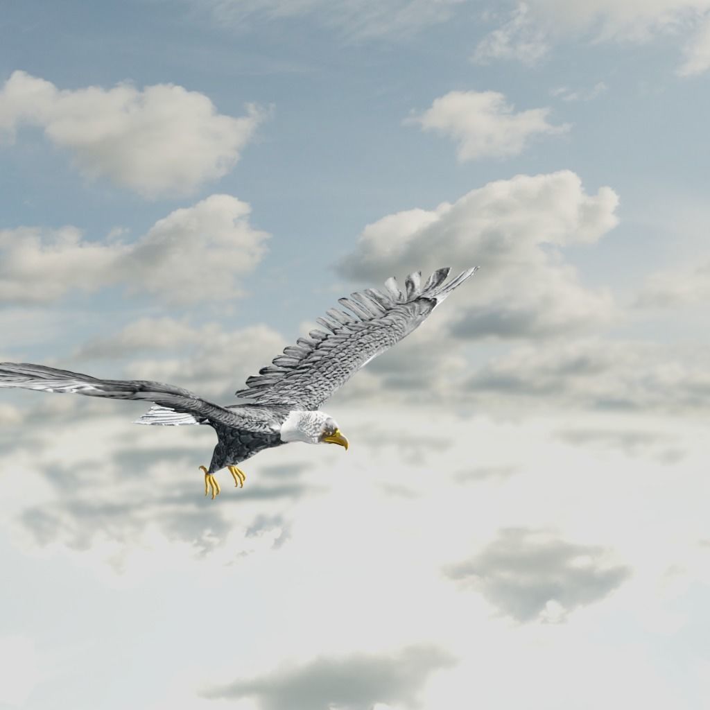 Eagle Model Game Ready flying in sky Low-poly 3D model_9
