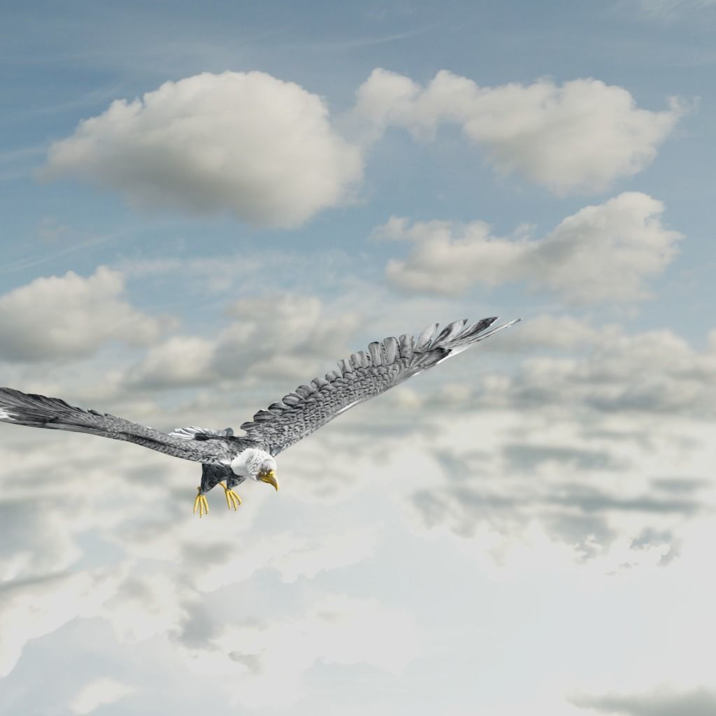 Eagle Model Game Ready flying in sky Low-poly 3D model_21