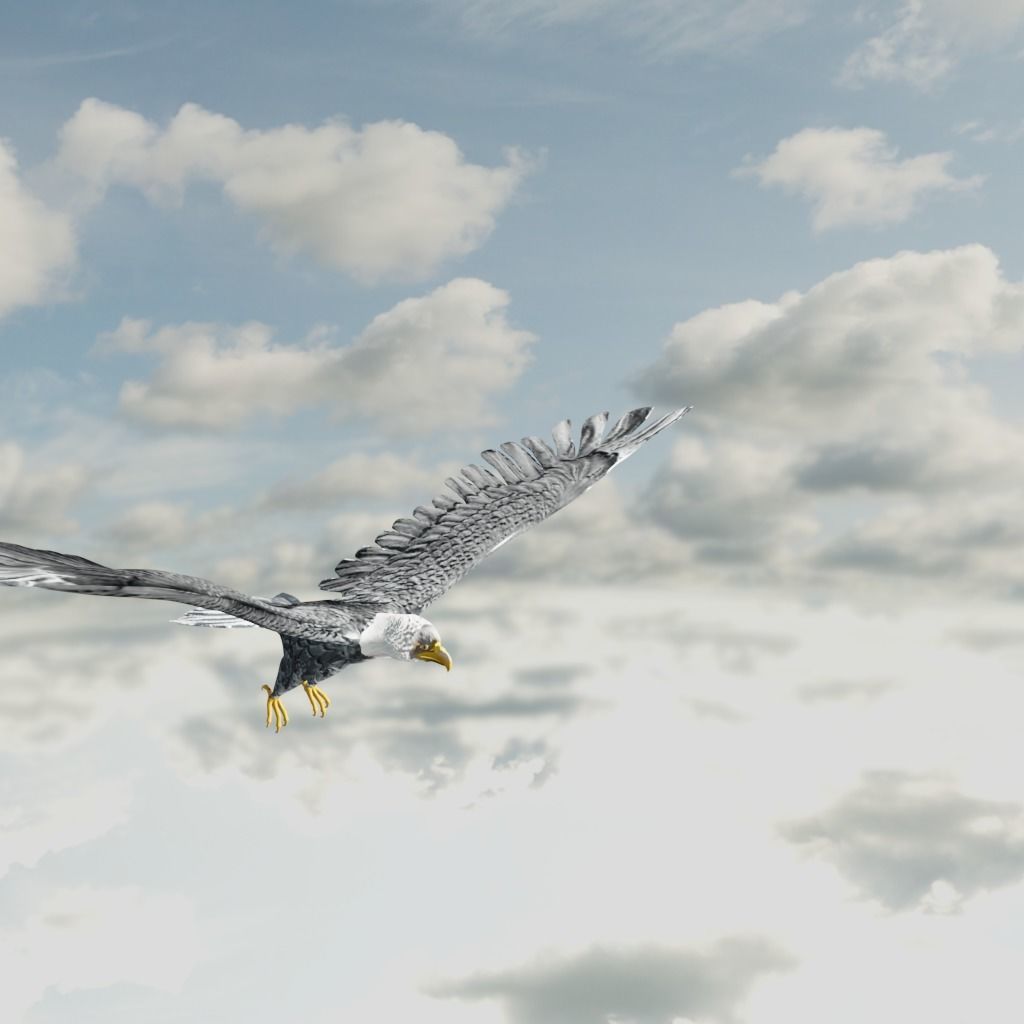 Eagle Model Game Ready flying in sky Low-poly 3D model_14
