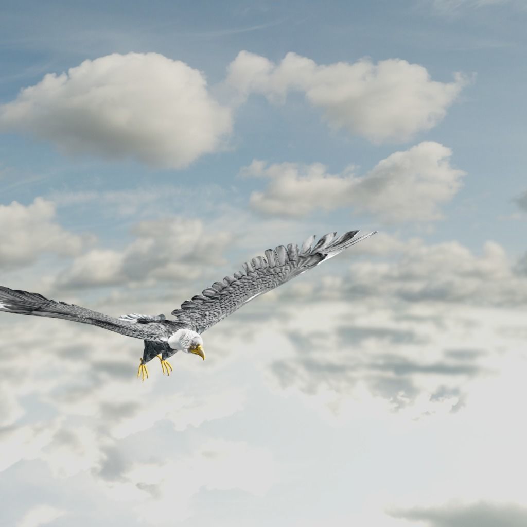 Eagle Model Game Ready flying in sky Low-poly 3D model_20
