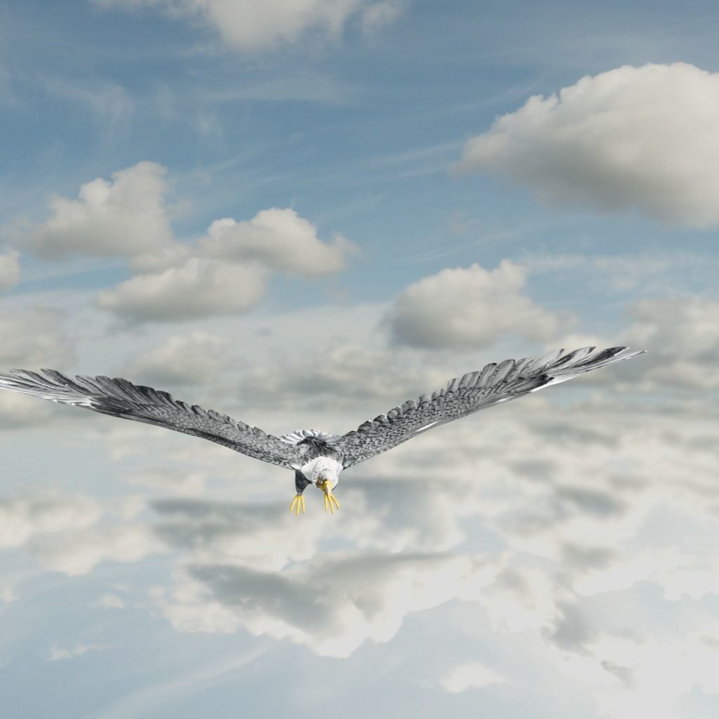 Eagle Model Game Ready flying in sky Low-poly 3D model_27