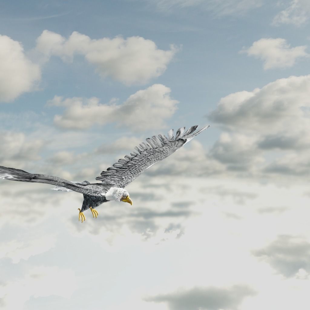 Eagle Model Game Ready flying in sky Low-poly 3D model_18