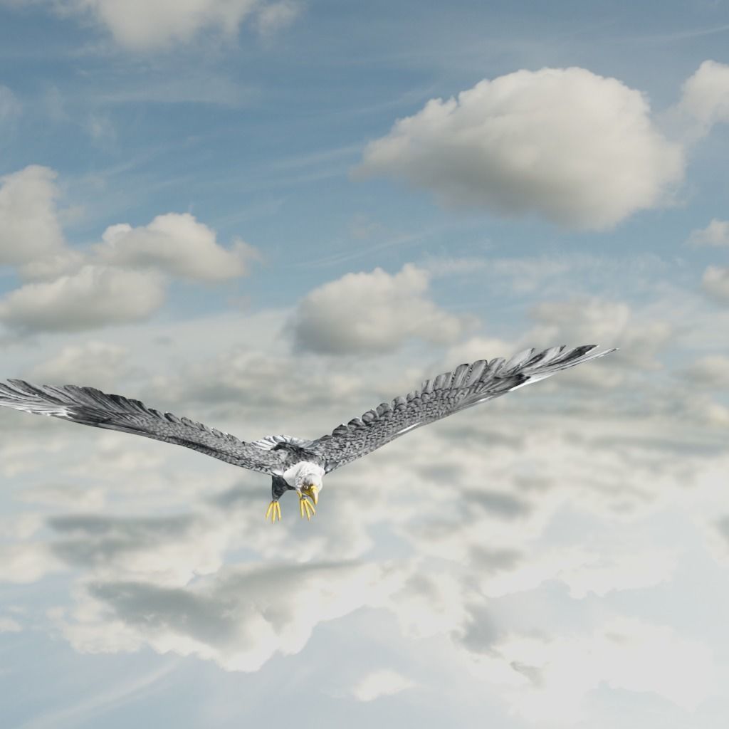 Eagle Model Game Ready flying in sky Low-poly 3D model_26