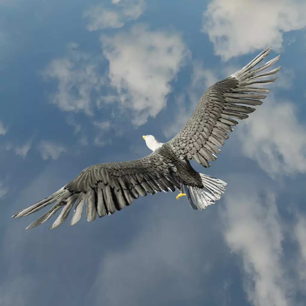 Eagle Model Game Ready flying in sky Low-poly 3D model_0