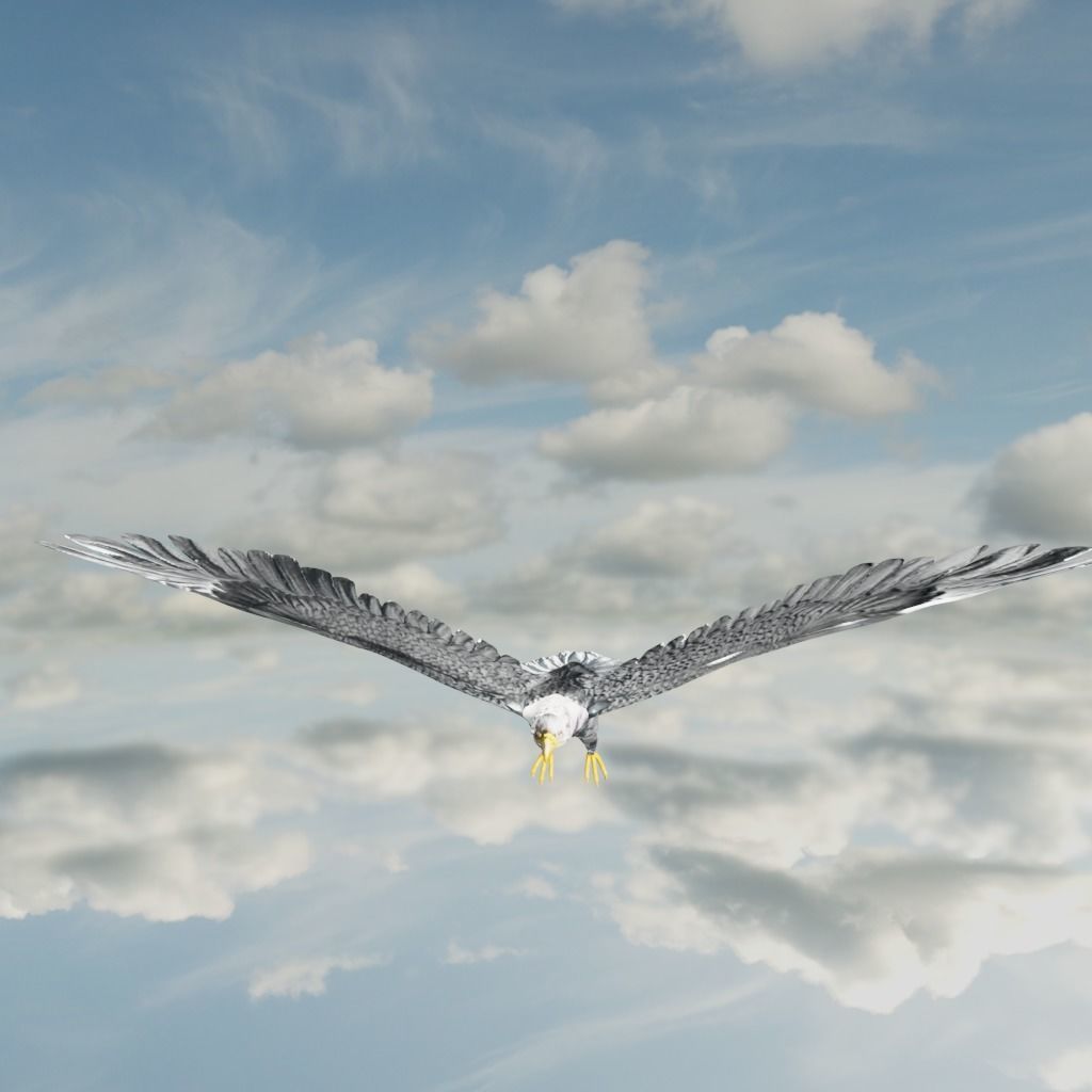 Eagle Model Game Ready flying in sky Low-poly 3D model_31