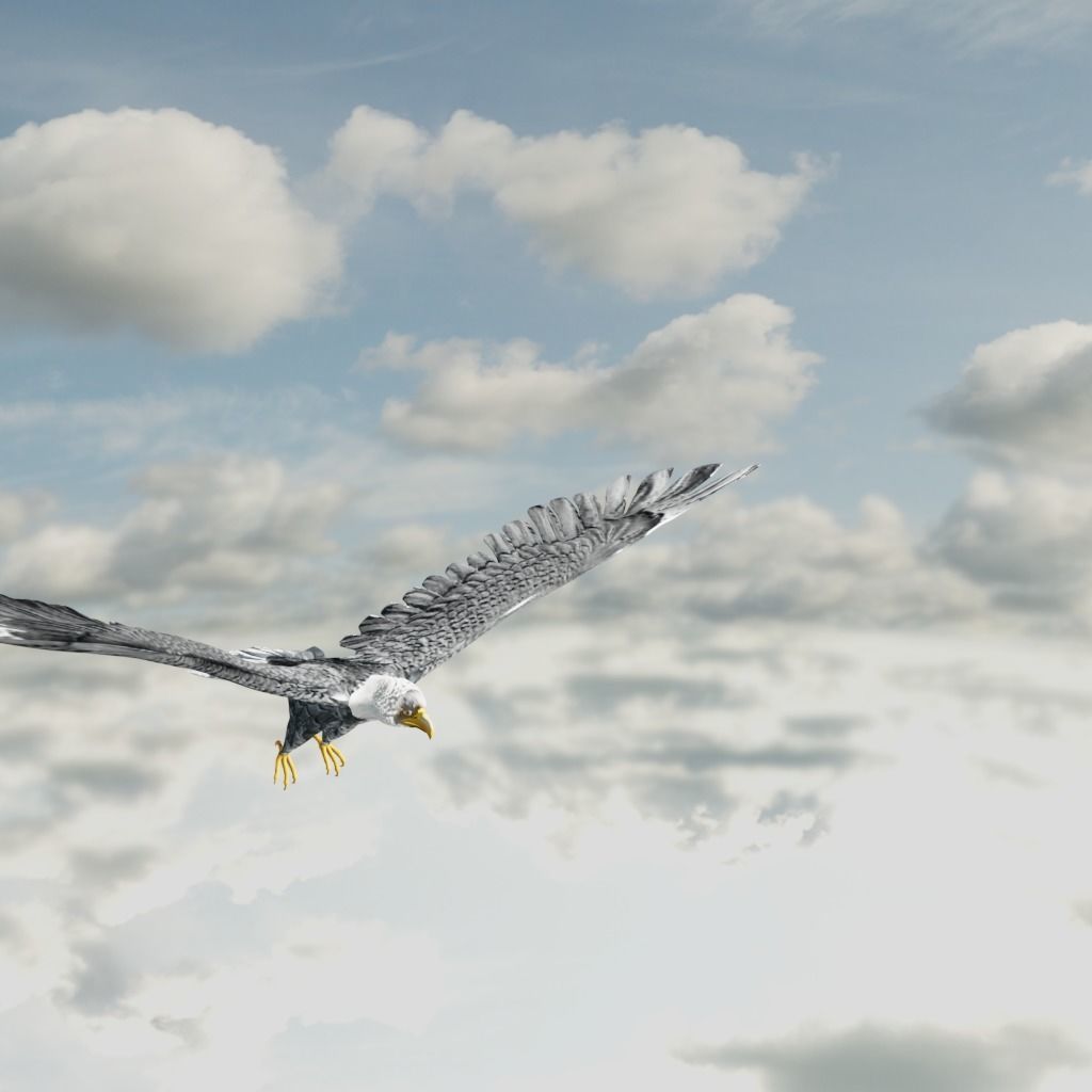 Eagle Model Game Ready flying in sky Low-poly 3D model_24