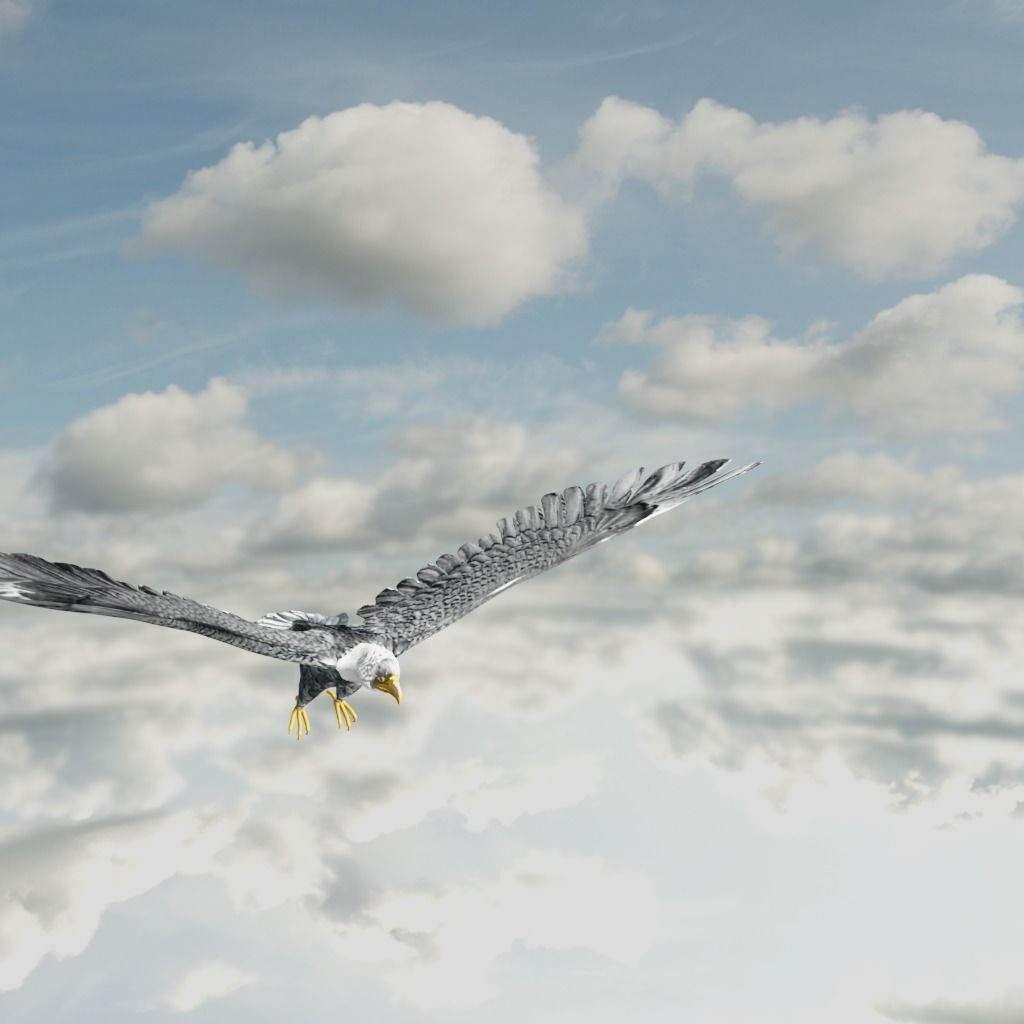 Eagle Model Game Ready flying in sky Low-poly 3D model_25