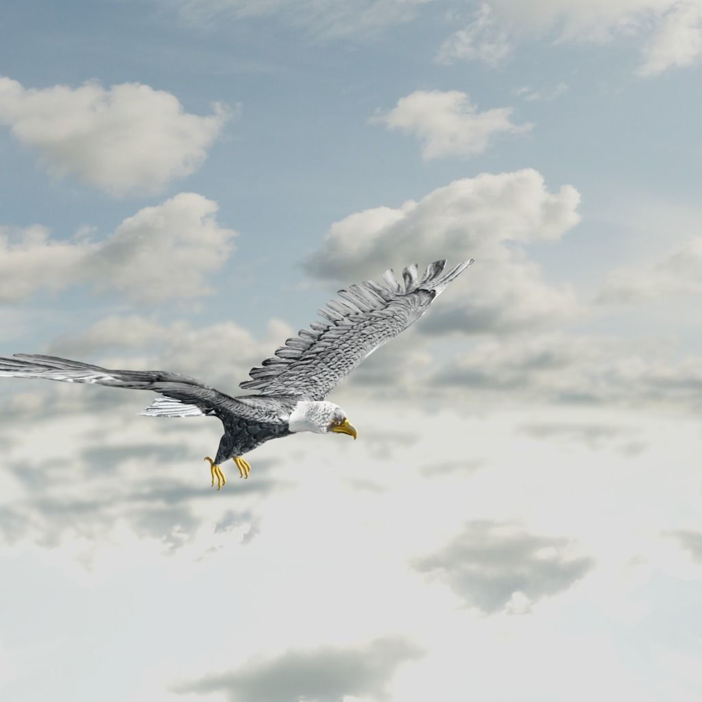 Eagle Model Game Ready flying in sky Low-poly 3D model_8
