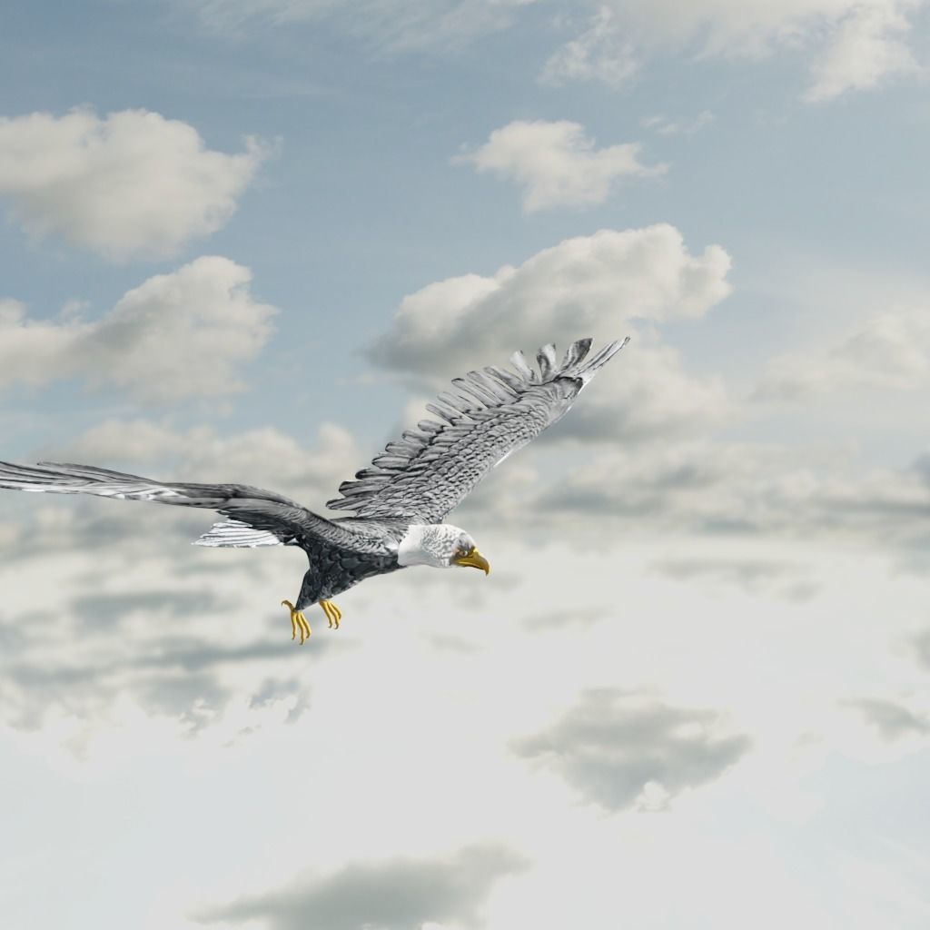 Eagle Model Game Ready flying in sky Low-poly 3D model_15
