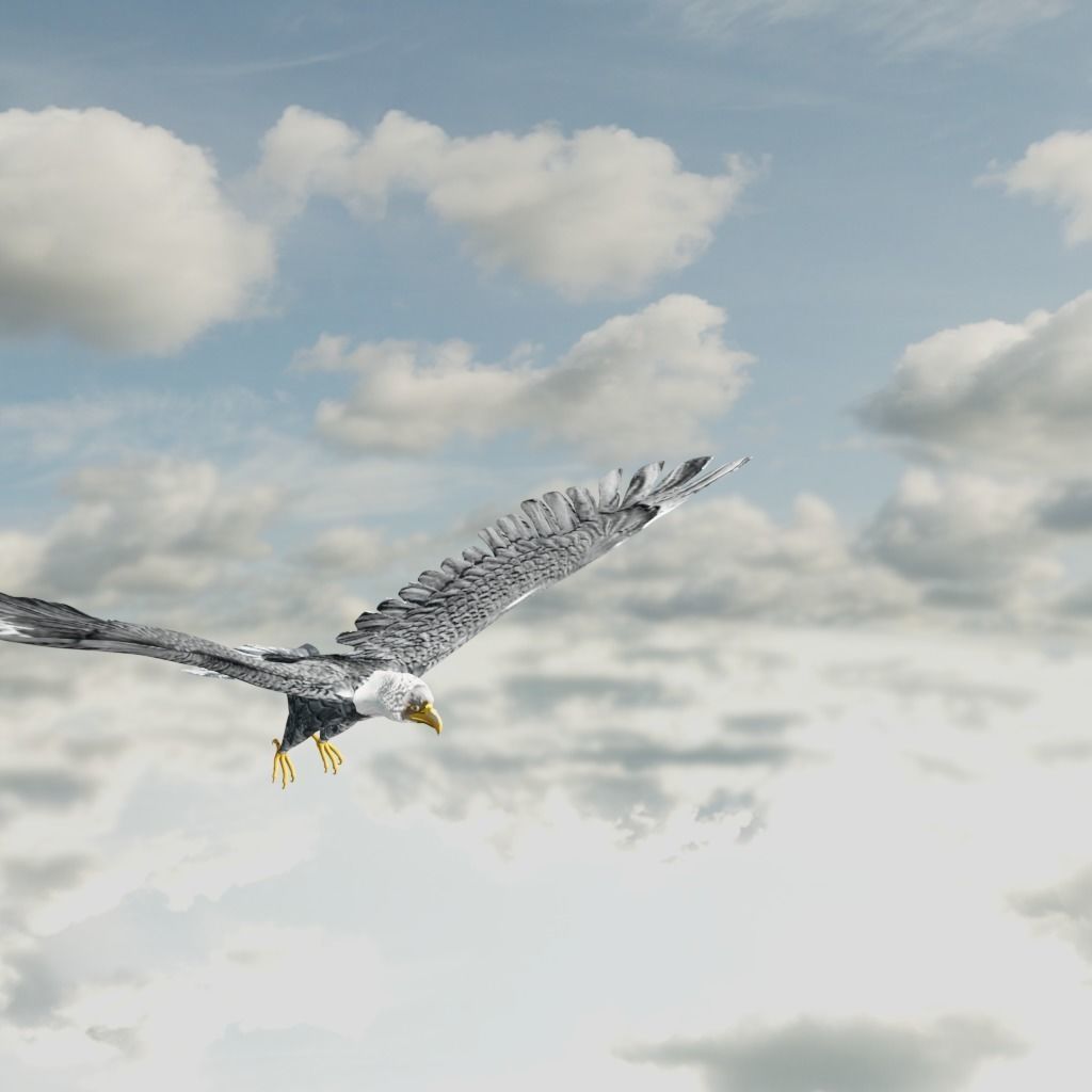 Eagle Model Game Ready flying in sky Low-poly 3D model_19