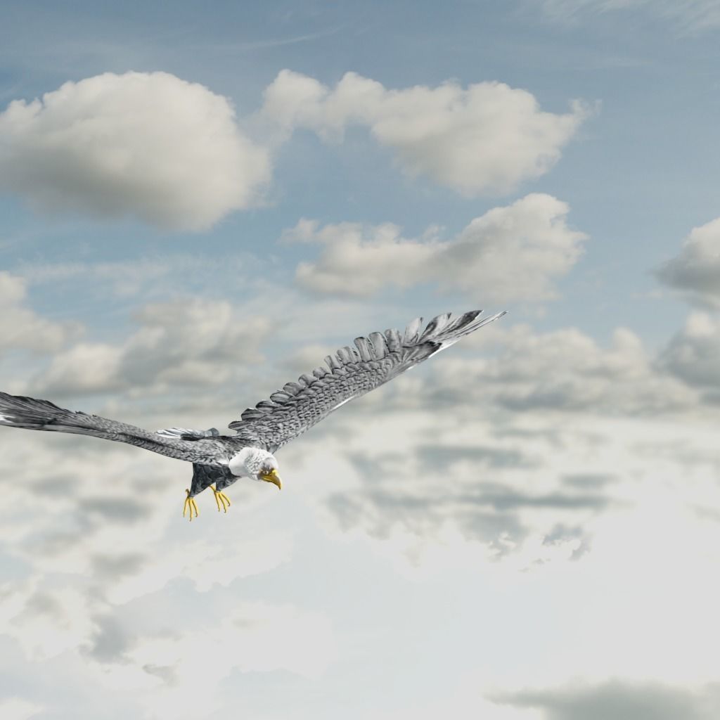 Eagle Model Game Ready flying in sky Low-poly 3D model_22