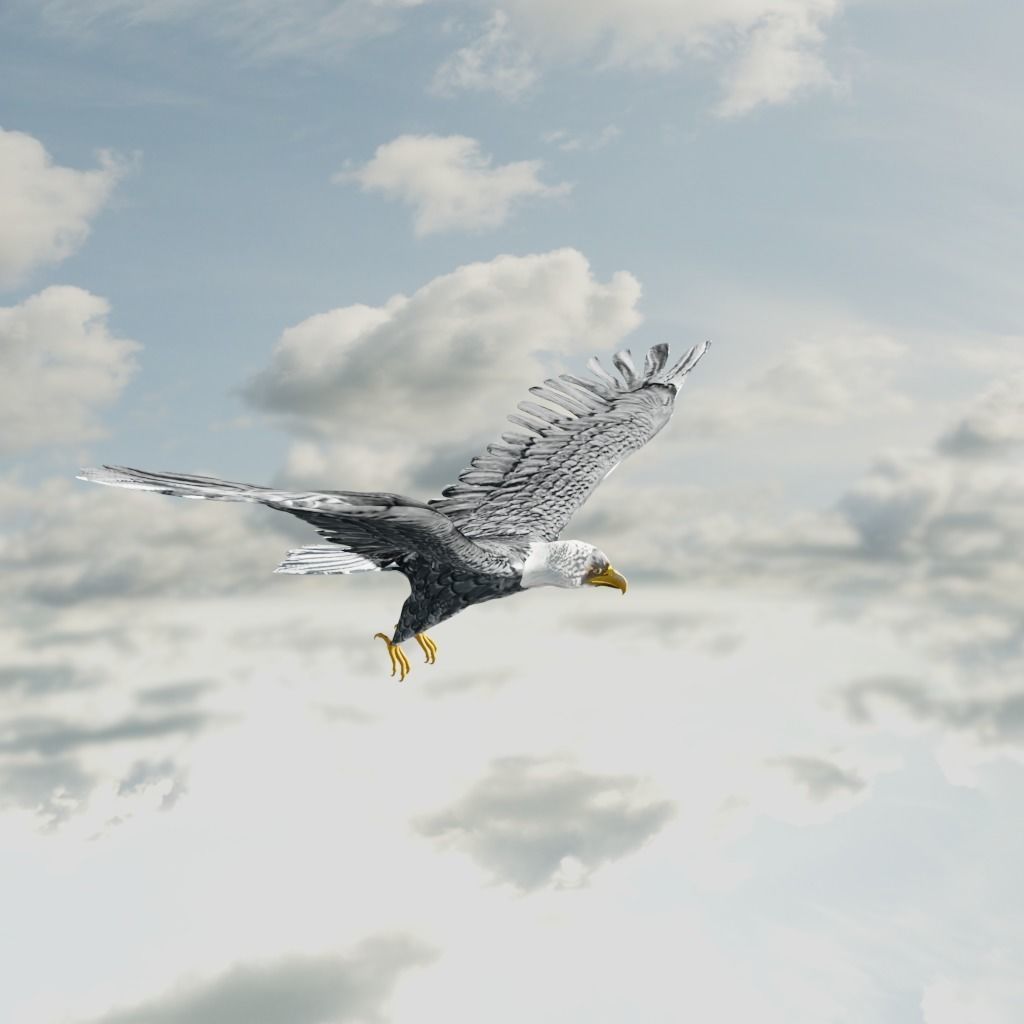 Eagle Model Game Ready flying in sky Low-poly 3D model_6