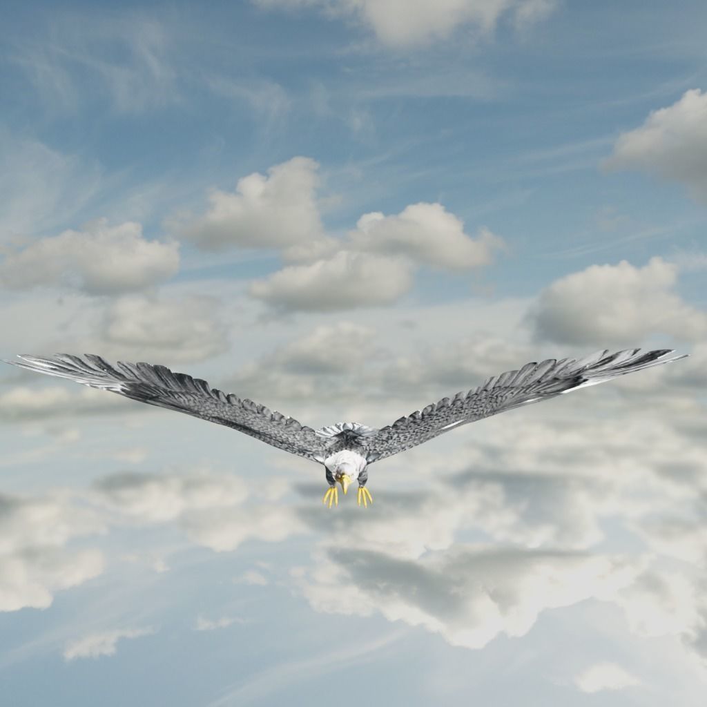 Eagle Model Game Ready flying in sky Low-poly 3D model_29
