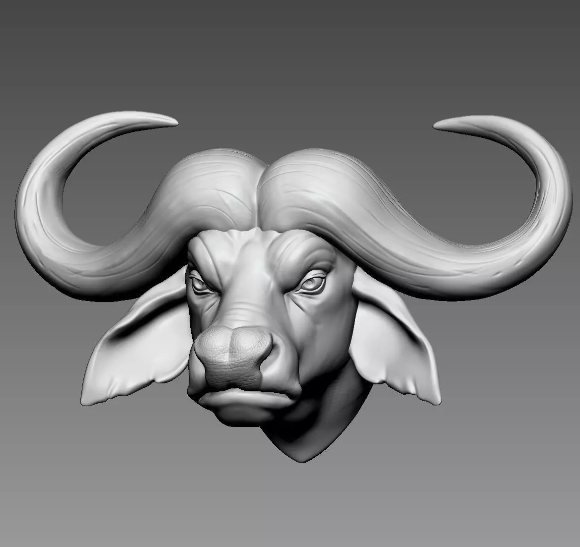 African buffalo 3D print model_0