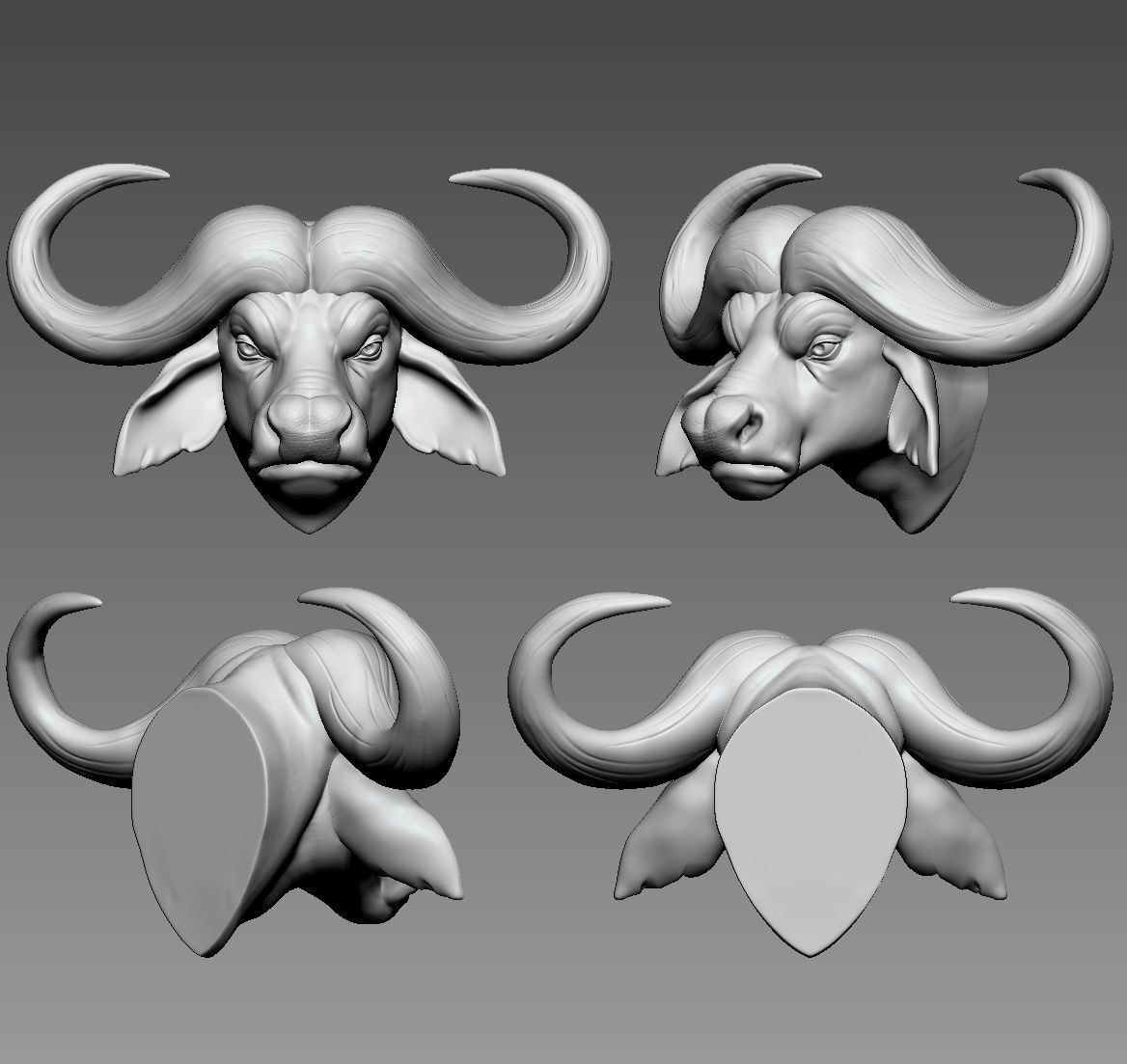 African buffalo 3D print model_3