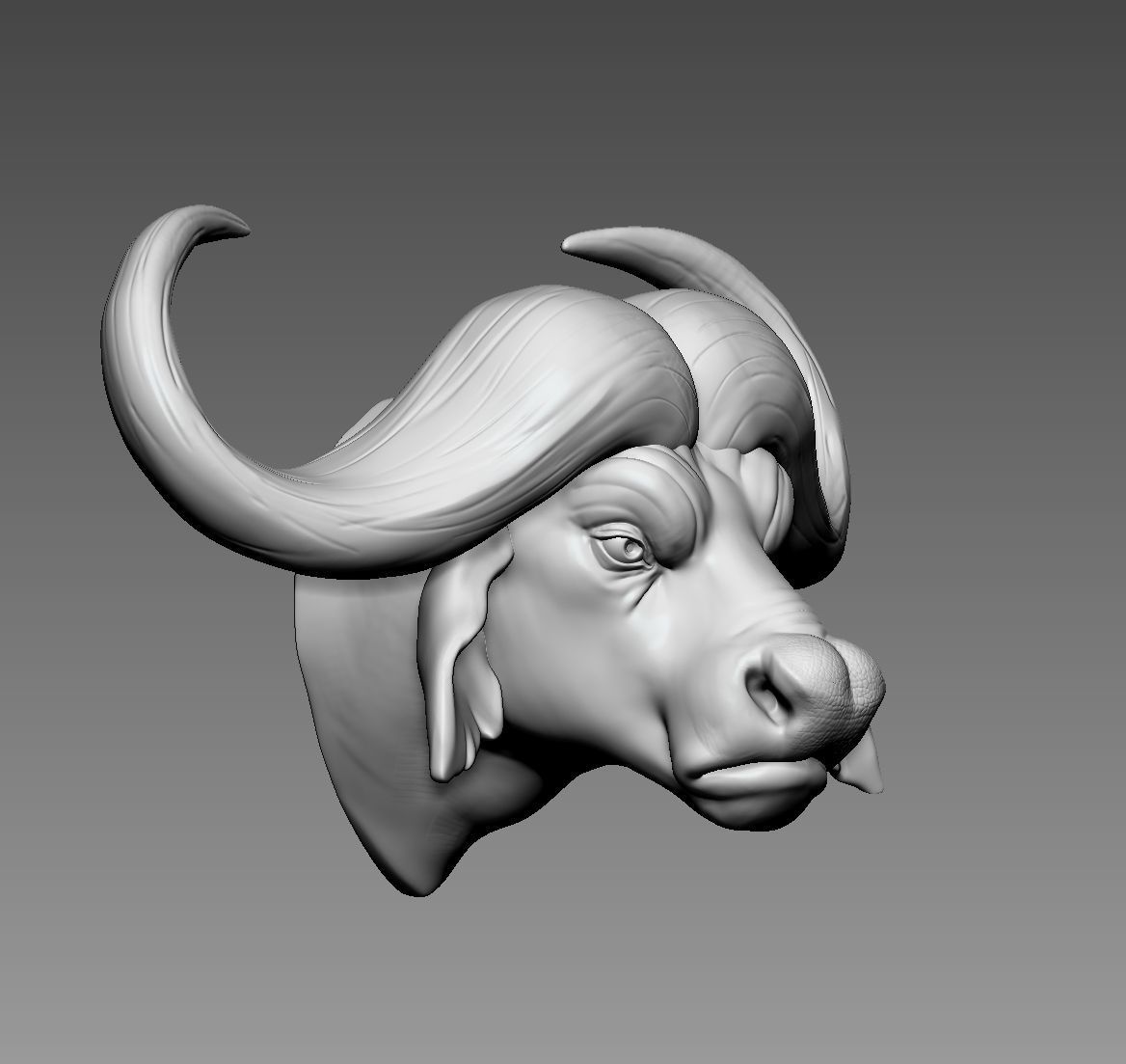 African buffalo 3D print model_2
