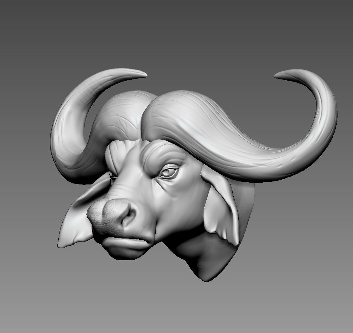 African buffalo 3D print model_1