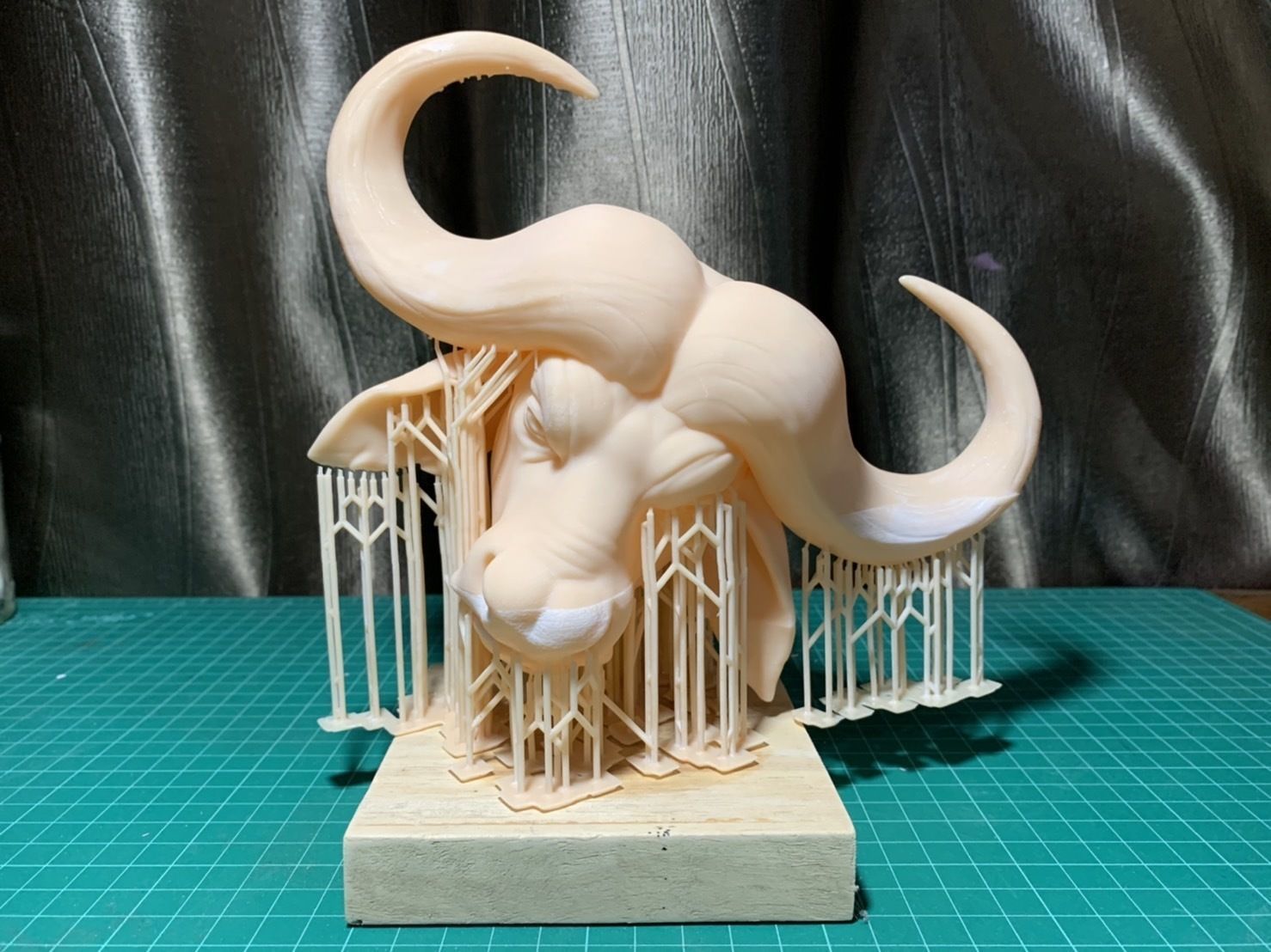 African buffalo 3D print model_8