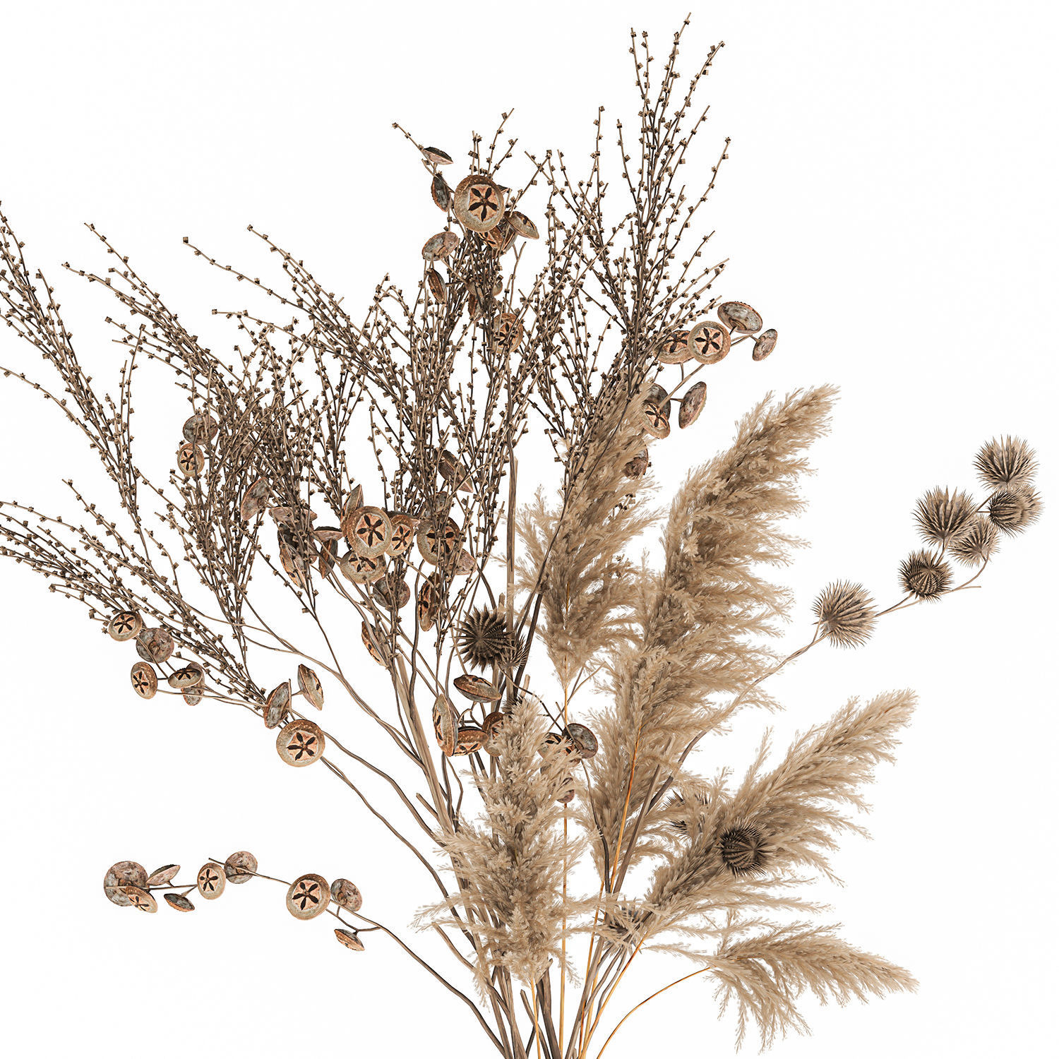 Bouquet of dried flowers in a vase 185 3D model_2