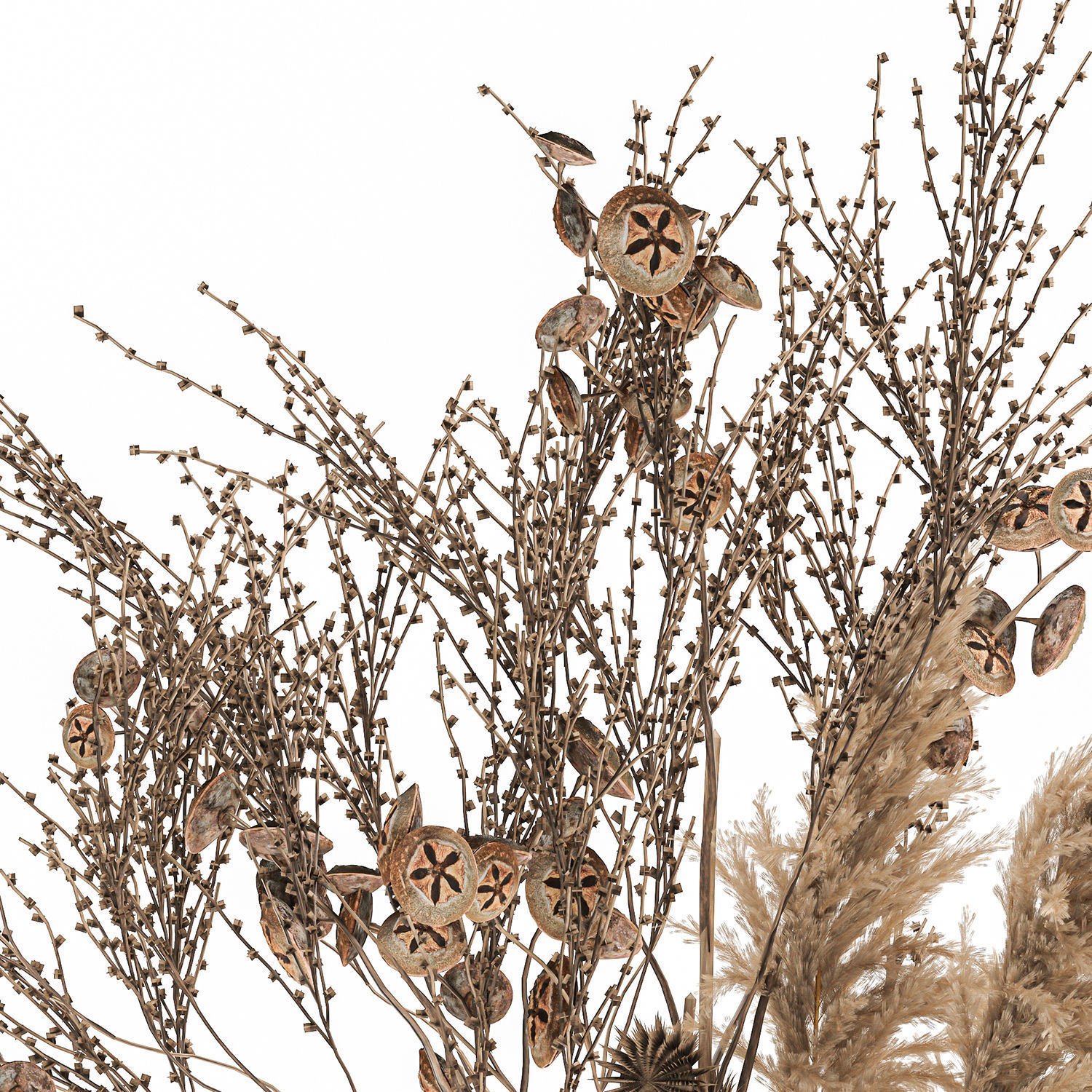 Bouquet of dried flowers in a vase 185 3D model_5