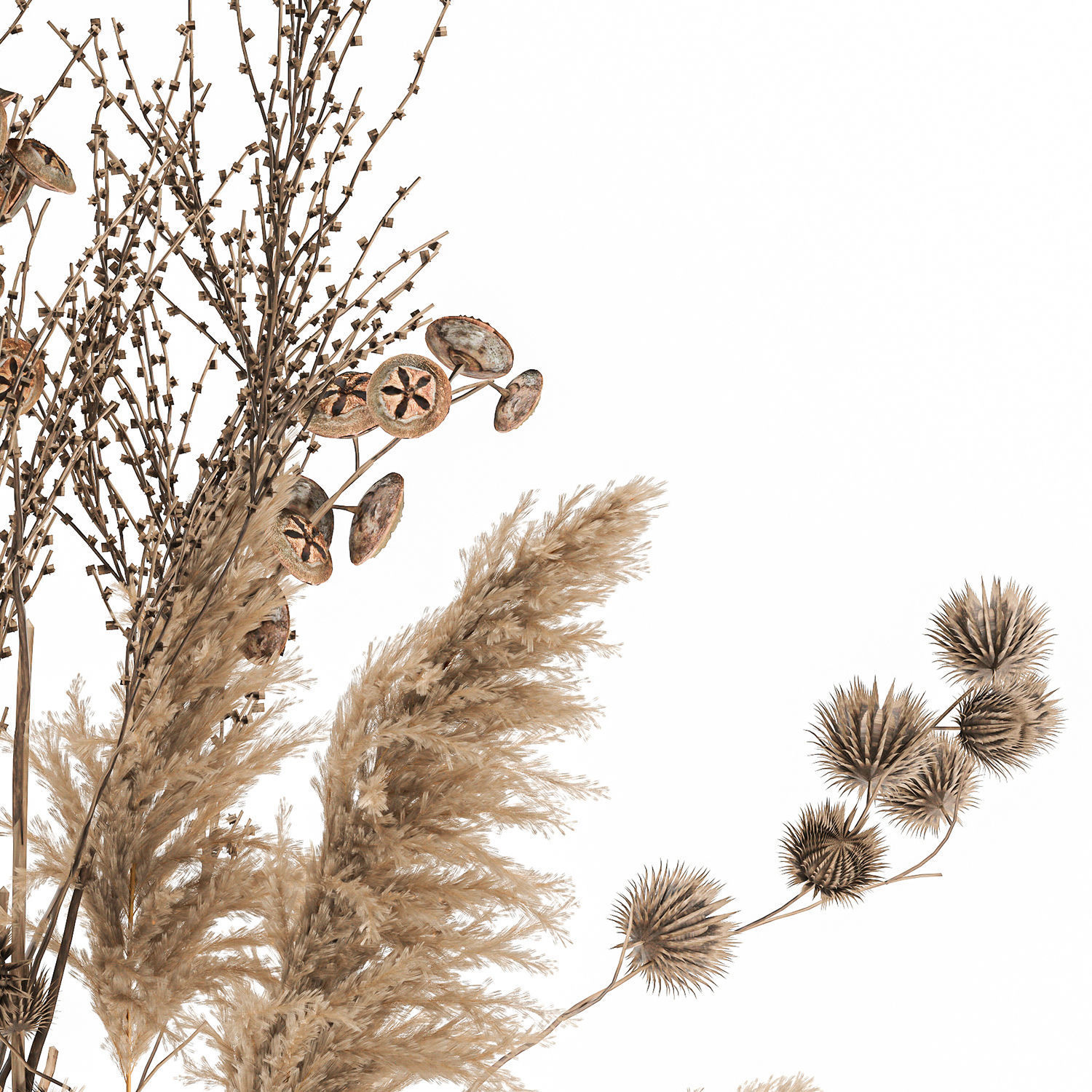 Bouquet of dried flowers in a vase 185 3D model_4