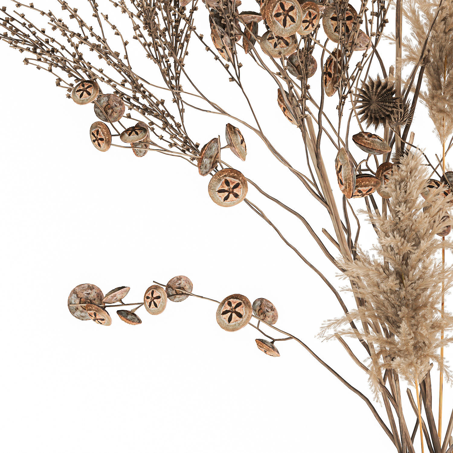 Bouquet of dried flowers in a vase 185 3D model_3