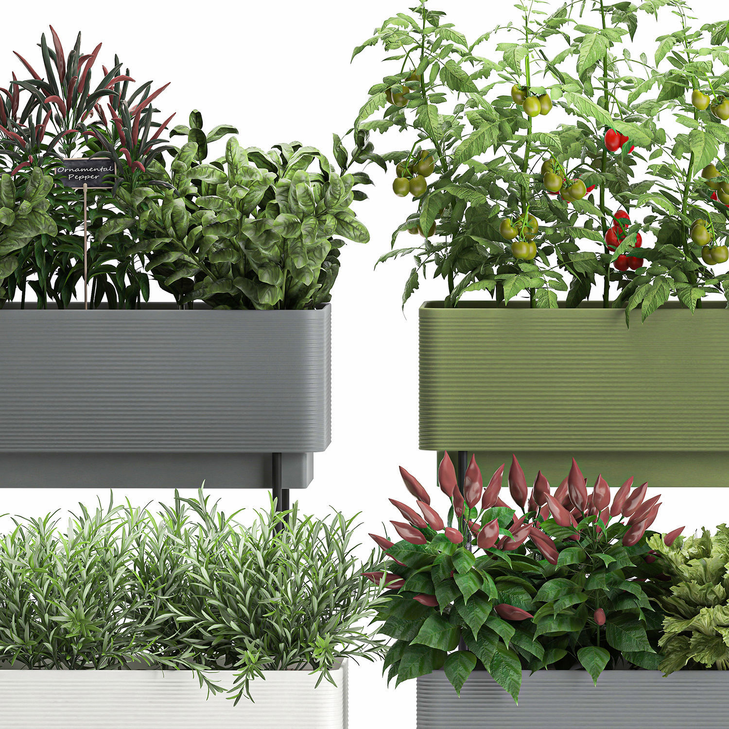 Vegetable garden in the kitchen 1059 3D model_4