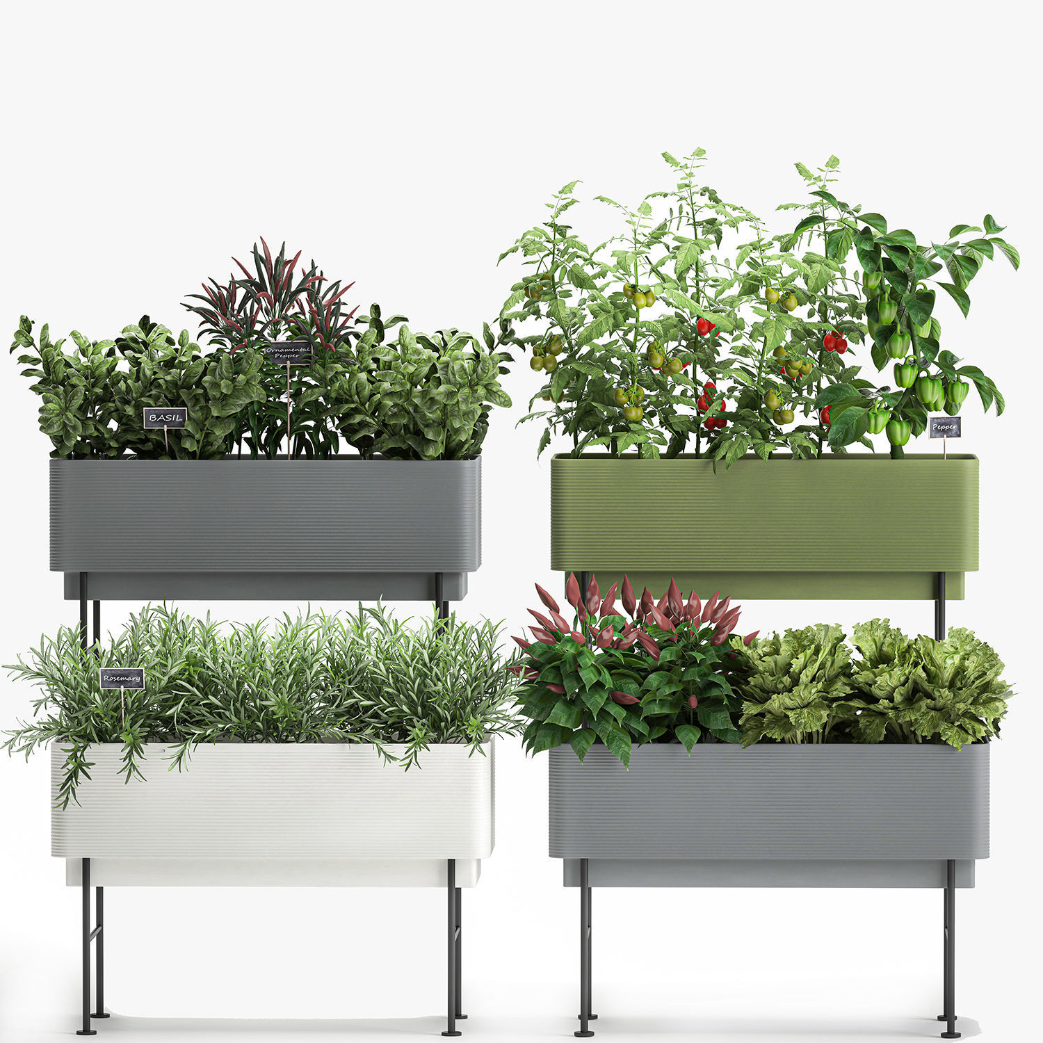 Vegetable garden in the kitchen 1059 3D model_1