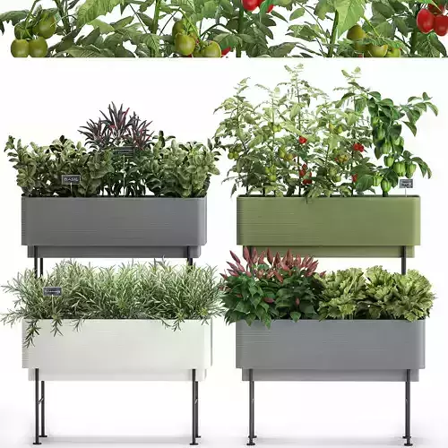 Vegetable garden in the kitchen 1059 3D model