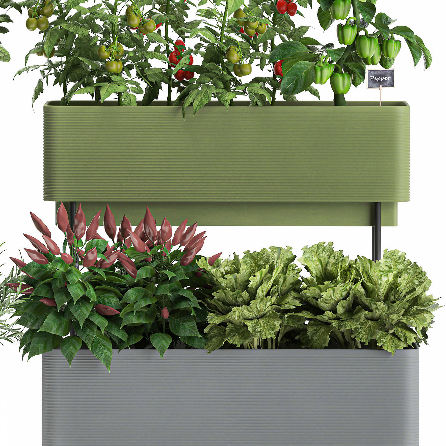 Vegetable garden in the kitchen 1059 3D model_5