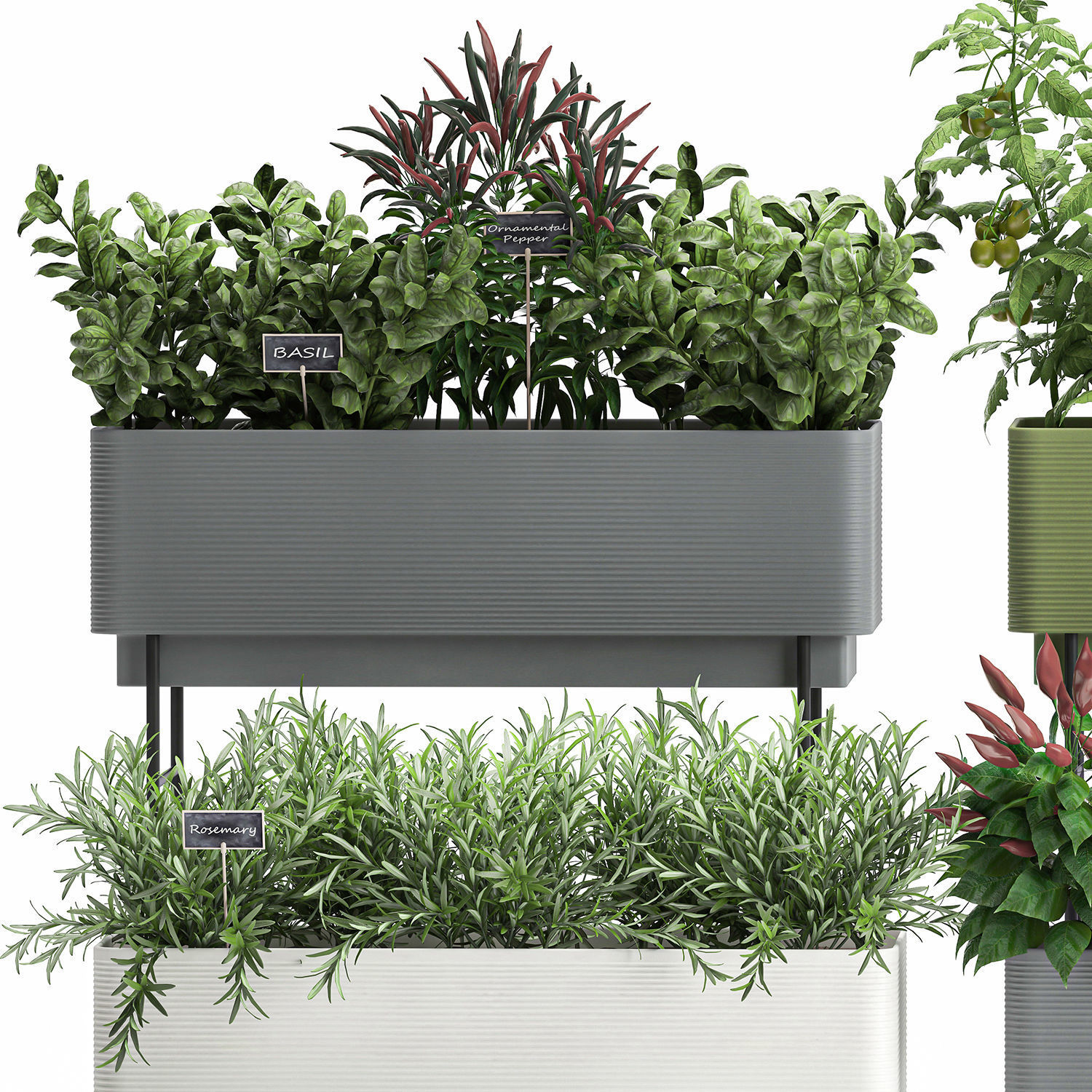 Vegetable garden in the kitchen 1059 3D model_3