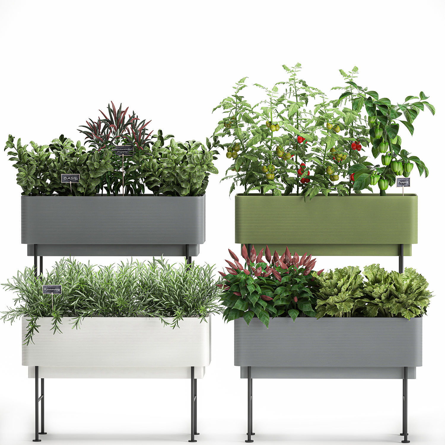 Vegetable garden in the kitchen 1059 3D model_2
