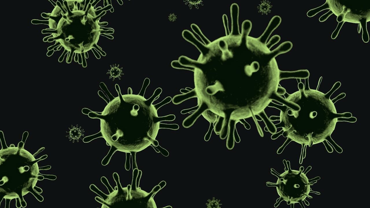 Virus  or bacteria 3D model_1