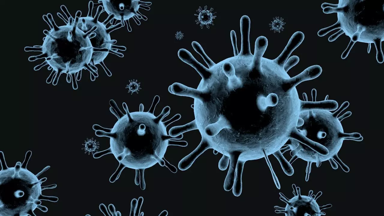 Virus  or bacteria 3D model_0