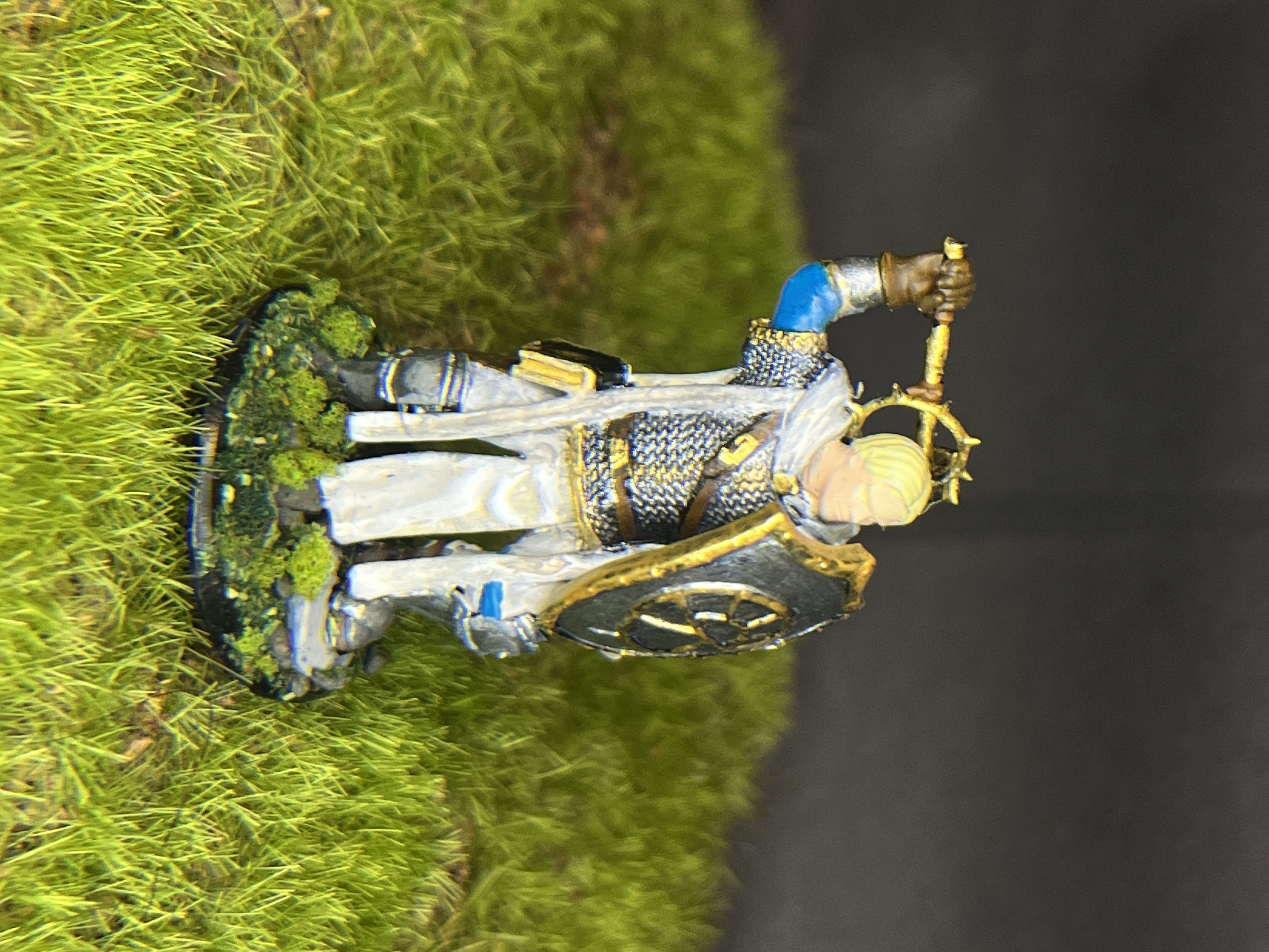 Paladin of Lathander 3D print model_3