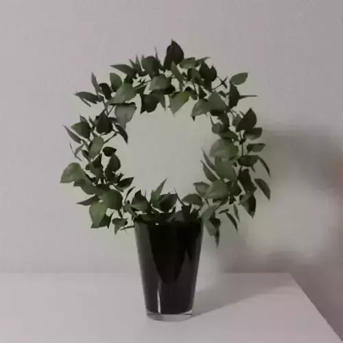 Circle shaped Pot plant