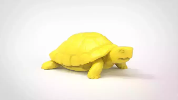 Tortoise toy turtle