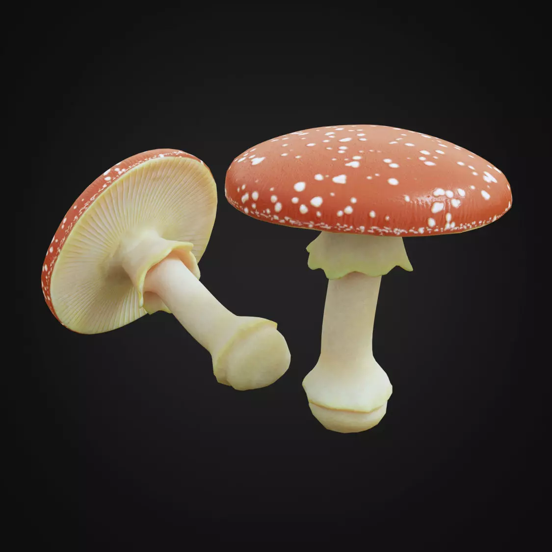 Amanita fungus Low-poly 3D model_0