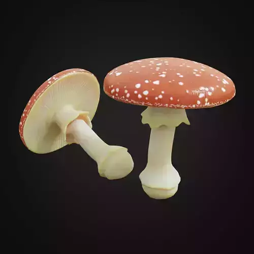 Amanita fungus