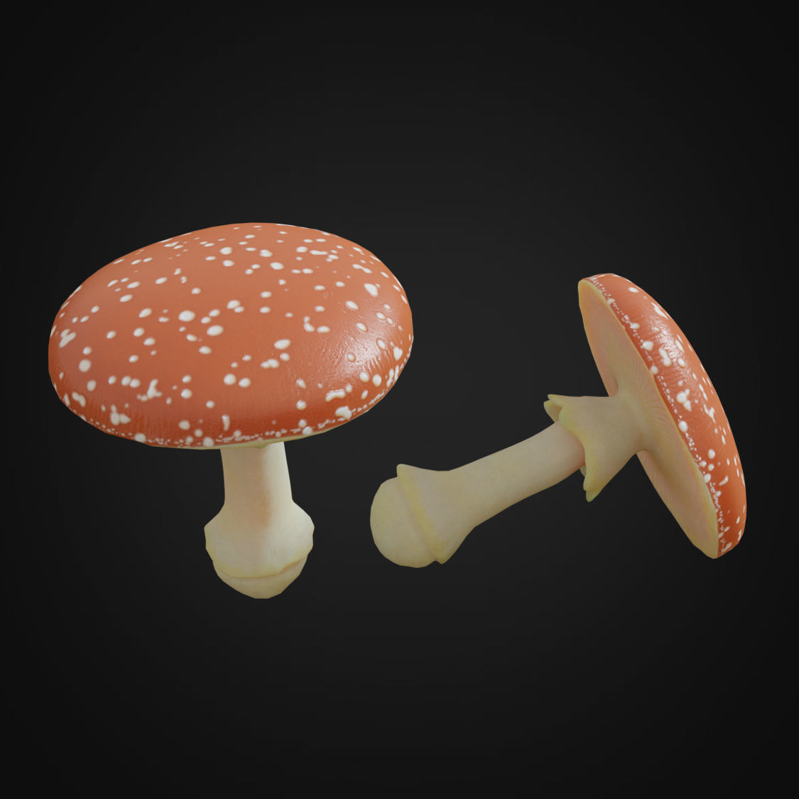 Amanita fungus Low-poly 3D model_2